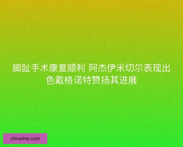 脚趾手术康复顺利 阿杰伊米切尔表现出色戴格诺特赞扬其进展 脚趾手术康复顺利 阿杰伊米切尔表现出色戴格诺特赞扬其进展