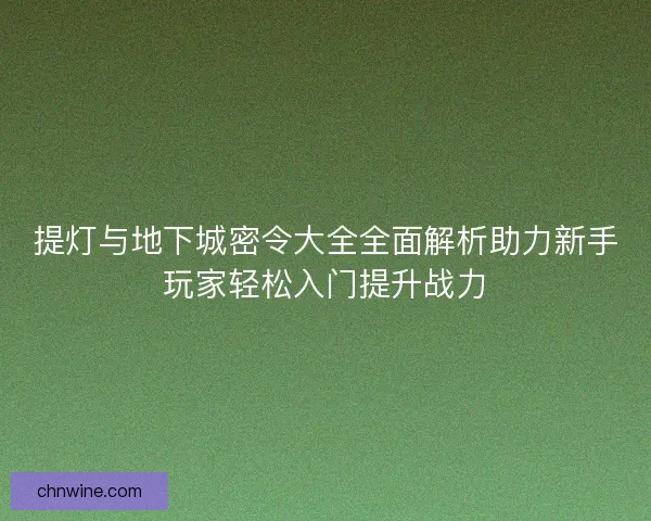 提灯与地下城密令大全全面解析助力新手玩家轻松入门提升战力