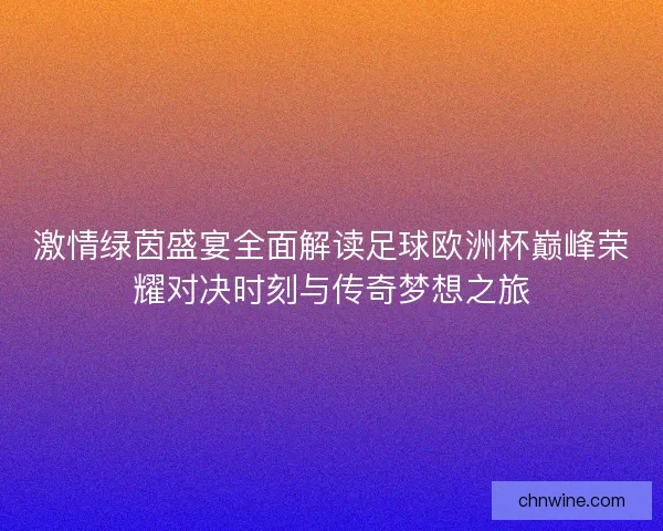 激情绿茵盛宴全面解读足球欧洲杯巅峰荣耀对决时刻与传奇梦想之旅