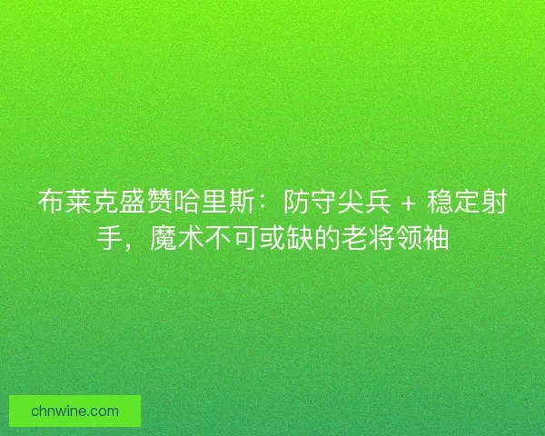 布莱克盛赞哈里斯：防守尖兵 + 稳定射手，魔术不可或缺的老将领袖